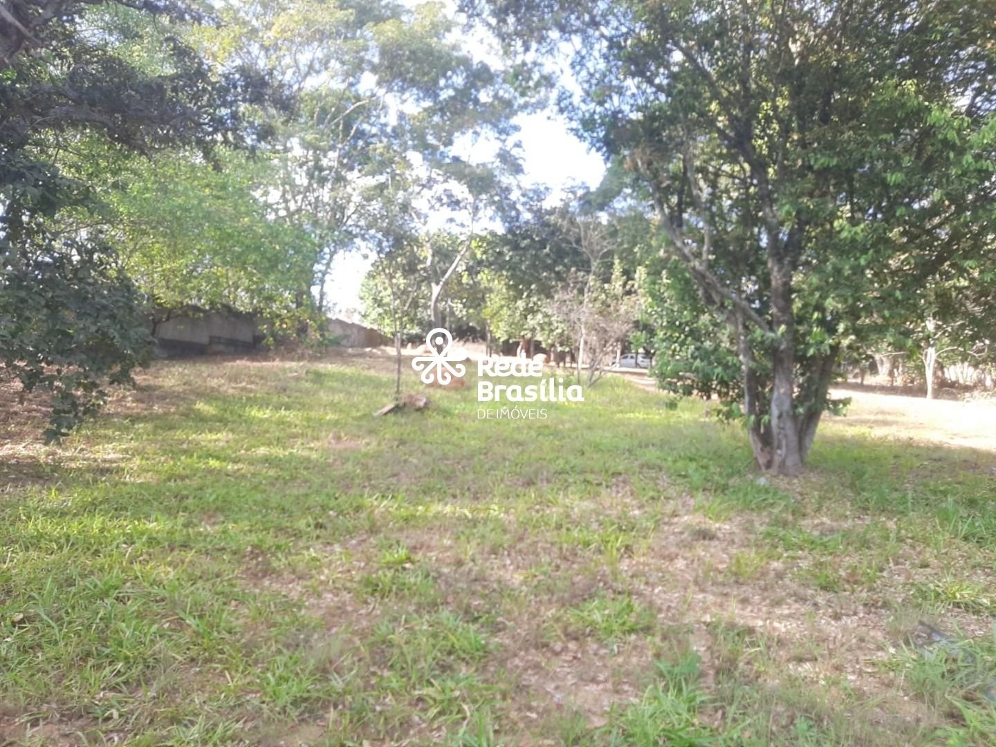 Imagem da propriedade SM799 2