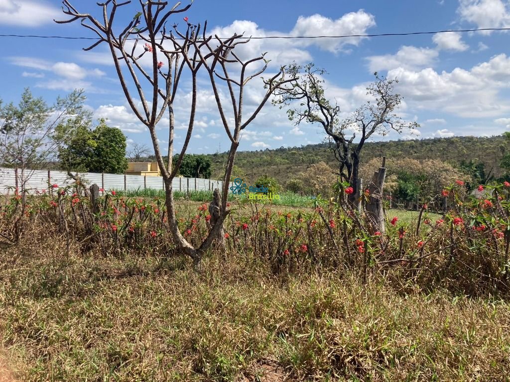 Imagem da propriedade CO8290 4